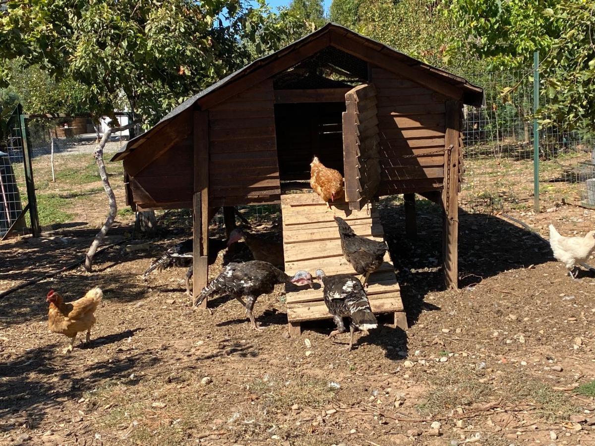 Lavender Farm House نافبكْتوس المظهر الخارجي الصورة