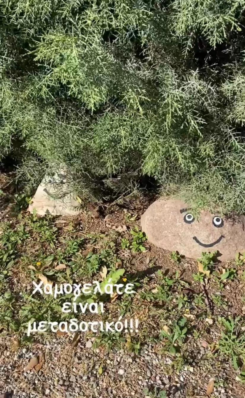 Lavender Farm House نافبكْتوس المظهر الخارجي الصورة